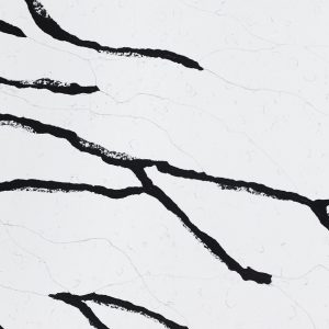 STATUARIO BLACK